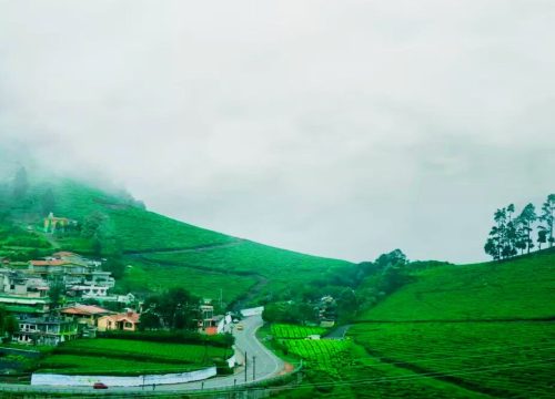 Ooty Tour Package 2N/ 3D